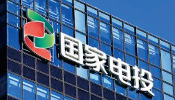國(guó)家電投